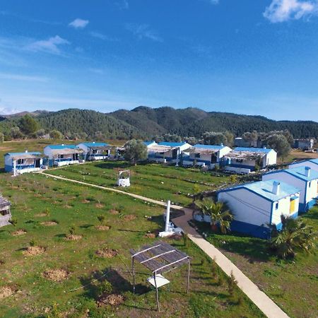 Ferma Jebala Ecolodge Kitane Exteriér fotografie