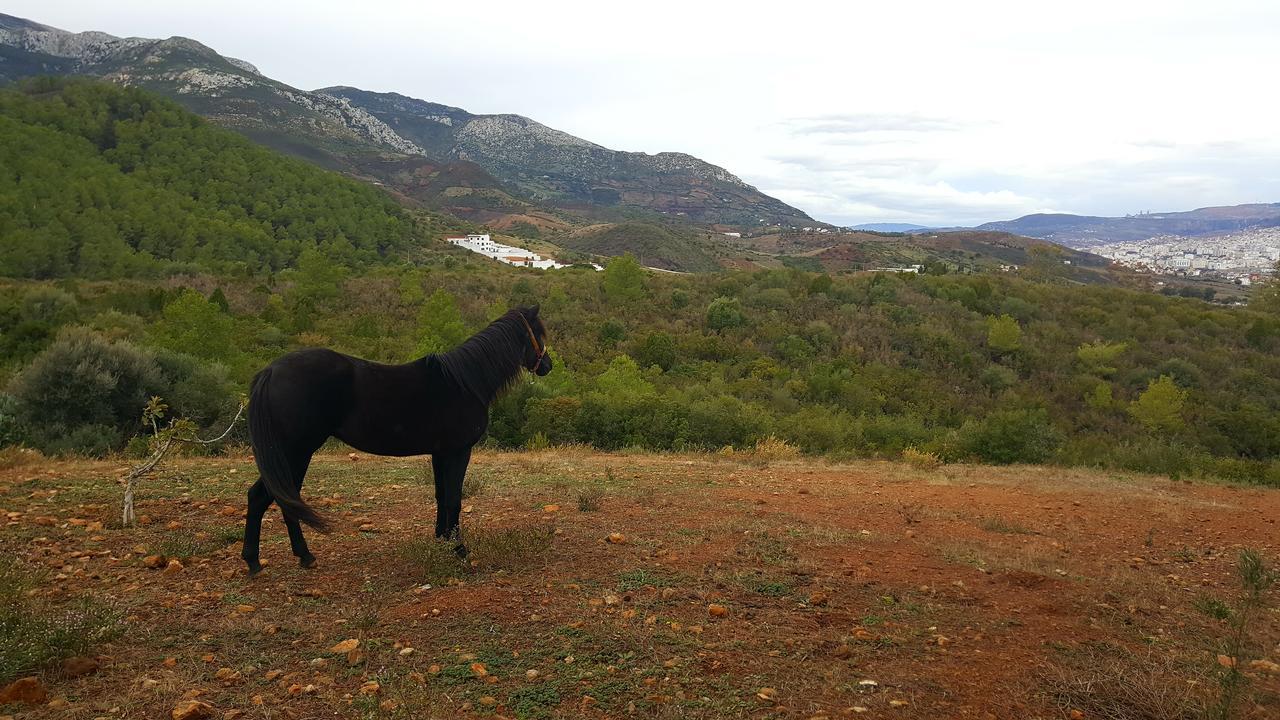 Ferma Jebala Ecolodge Kitane Exteriér fotografie