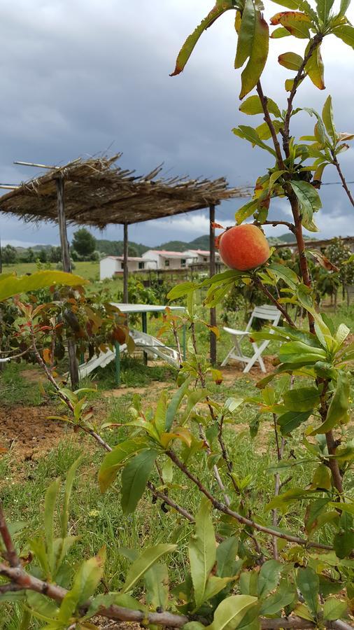 Ferma Jebala Ecolodge Kitane Exteriér fotografie