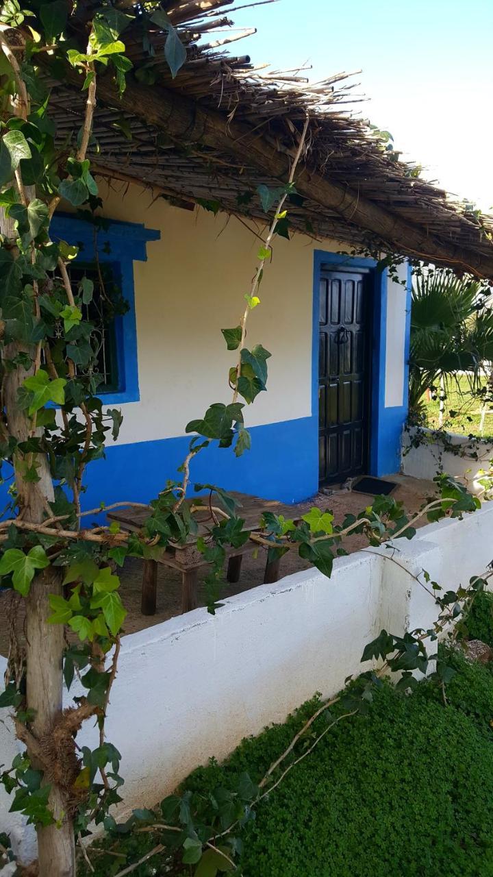 Ferma Jebala Ecolodge Kitane Exteriér fotografie